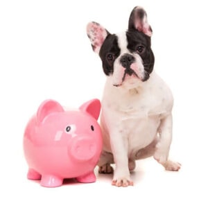 Save Money